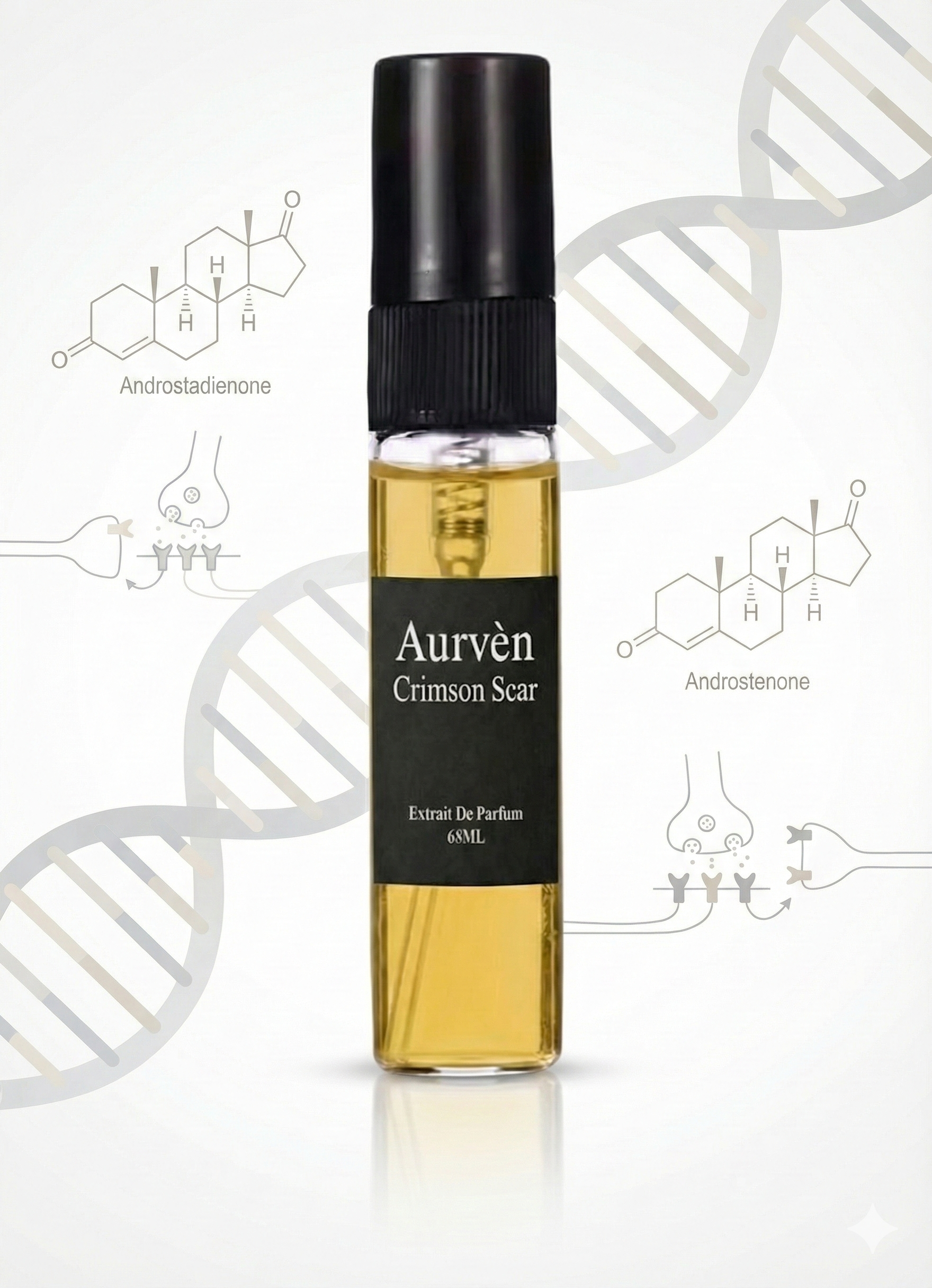 The Aurvén Discovery Set | Redeemable Sample Kit