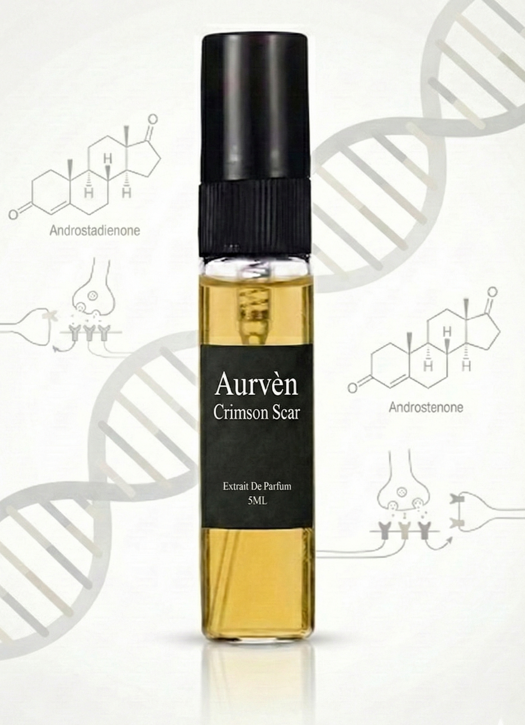 The Aurvén Discovery Set | Redeemable Sample Kit